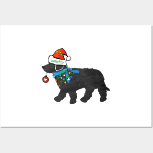 Cute Christmas Labradoodle Naughty But Nice Posters and Art